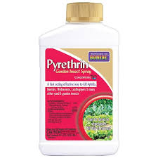 Bonide Pyrethrin Garden Insect Spray