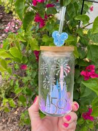 Glass Cup Wdw Disney Castle