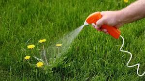 Kill Weeds Instantly With 7p Natural