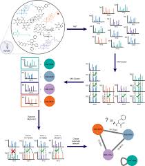 Reproducible Molecular Networking Of