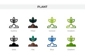 Plant Structure Vector Art Icons And