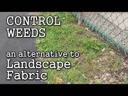 Sheet Mulching For Weed Control