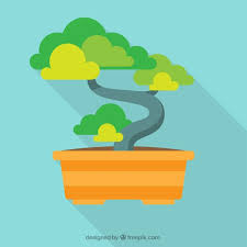 Bonsai Icon Images Free On