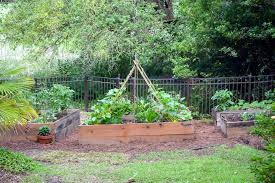 Vegetables For Raised Bed Gardens