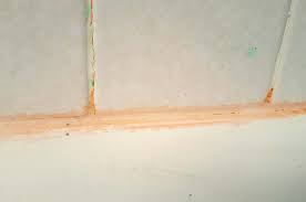 How To Get Rid Of Pink Mold Causes Of