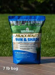 Black Beauty Sun Shade Grass Seed