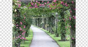 Pergola Royal Botanic Gardens Kew Vine