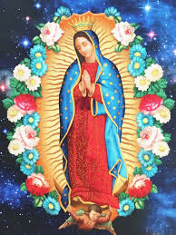 Virgin Lady Of Guadalupe Fabric Panels