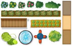 Vegetable Garden Top View Vector Art