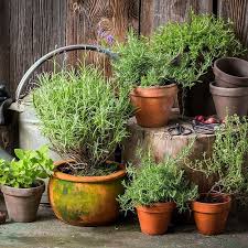 How To Make A Balcony Herb Garden