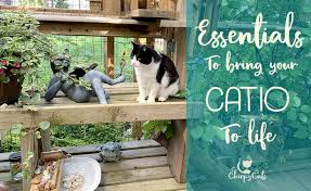 Catio Accessories Chirpy Cats