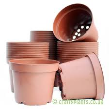 12cm Plastic Plant Pots 4 72