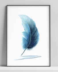 Png Feather Print Wall Art Nature Art