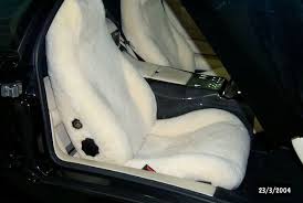Wild Ram Home Sheepskin Car Seat Covers