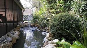Backyard Pond Or Waterfall In Your Garden