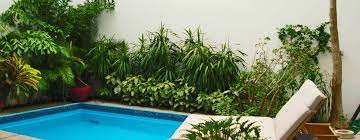 Small Pools For Terraces And Gardens