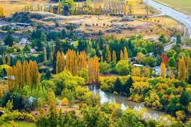 The Best Arrowtown Tours And Things To