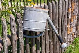 Vegetable Gardens Stock Photos