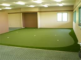 Basement Putting Greens Practice