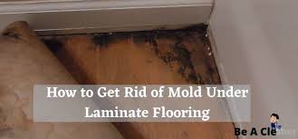 Mold Under Laminate Flooring