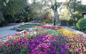 Descanso Gardens Visit Pasadena
