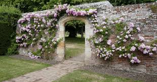 Garden Arch Ideas For A More Visually