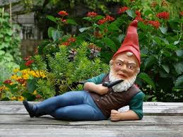 Photographing Garden Gnomes Gnome