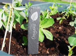 Slate Herb Plant Markers Garden