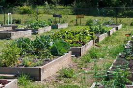 15 Vegetable Garden Ideas Forbes Home