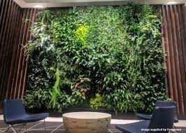 Green Walls Vertical Gardens Nz