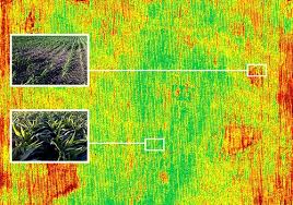 Drone Technology In Agriculture