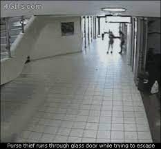 People Running Into Glass Doors Gifs