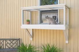 What S A Catio And Why Would I Want One