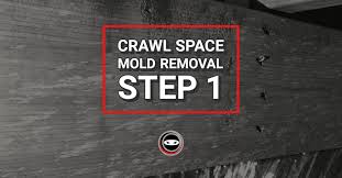 Crawl Space Mold Removal Step 1 Crawl
