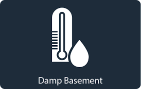 Damp Basement Services Home Ventilation