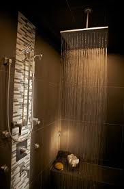 Rainfall Shower Head