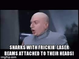 sharks with laser beams gifs tenor