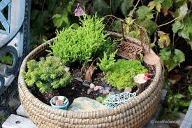 Miniature Garden In A Wicker Basket
