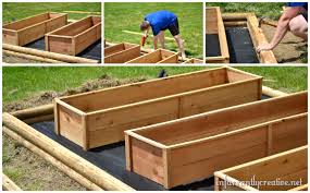 Planting A Raised Garden Bed
