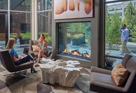 See Thru Linear Gas Fireplaces Modern