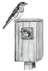 Birdhouse Building Bird Watcher S