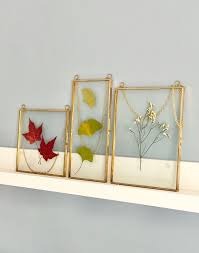 Double Glass Frame For Pressed Flowers