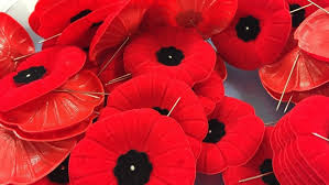 Poppy Etiquette For Remembrance Day