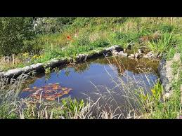 How To Build A Wildlife Pond