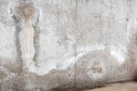 White Stuff On My Basement Walls