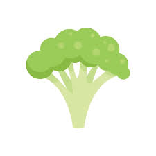 Eco Broccoli Icon Flat Vector Farm