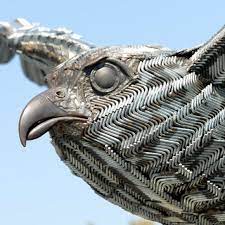 Allen The Peregrine Falcon Sheffield