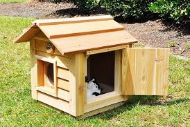 Custom Dog House Outside Cat House