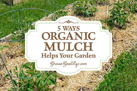 Organic Mulch Helps Your Vegetable Garden