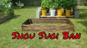 Shousugiban Diy Shou Sugi Ban Garden